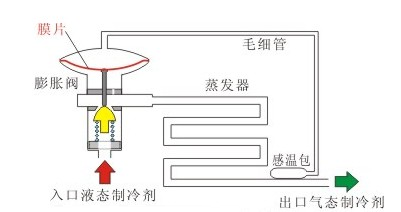 內(nèi)平衡式F型熱力膨脹閥結(jié)構(gòu)圖